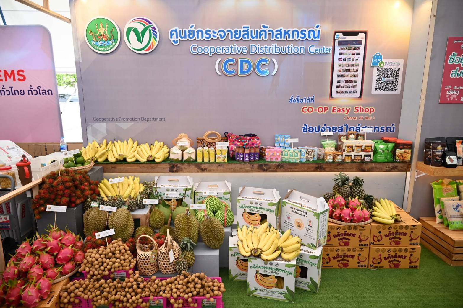 title - ส.ป.ก. ร่วมพิธีเปิดงาน Thailand : The Land of Tropical Fruits  ในวันที่ 13 กรกฎาคม 2569 ณ ลานคนเมือง ศาลาว่าการกรุงเทพมหานคร